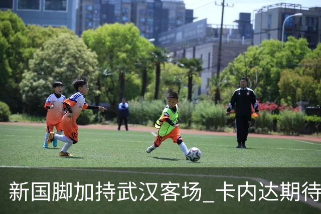 新国脚加持武汉客场 卡内达期待锋线发力 绿城要亮剑